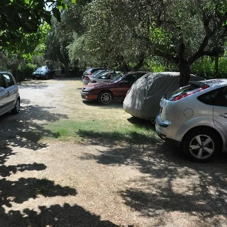 Lena's Tolofón